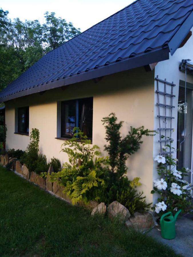 Agroturystyka Przylesie Wolimierz Zewnętrze zdjęcie